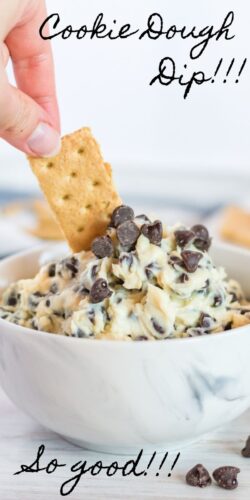 Cookie Dough Dip! So Good!