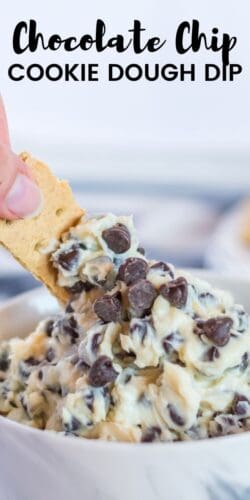 Chocolate Chip Cookie Dough Dip