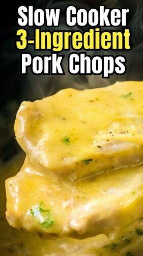 Slow cooker 3 ingredient pork chop pin.